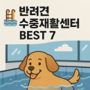 SD 메디칼 | 반려견 수중재활센터 전국 BEST 7 : 수중 러닝머신 있는 곳만 정리!