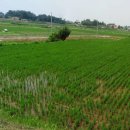 화수리농장 이미지