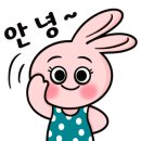 신고령촌돼지찌개 이미지