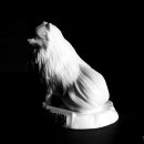 드림펫 동물병원 이미지