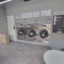 대구대학교 정문 이미지