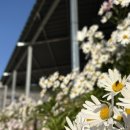 백화산토정한증막 이미지