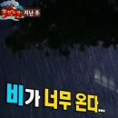 크림우드 이미지