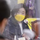 대선집