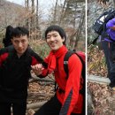 지리산愛 이미지