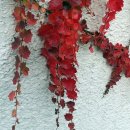 담을행정사사무소 이미지