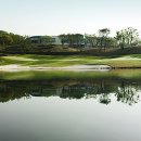 테디벨리 이미지