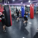 강화 용인대 복싱클럽 이미지