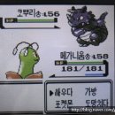 준용농장 이미지