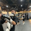 압구정 라이프 복싱 이미지
