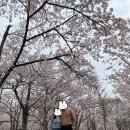 경주카라반스테이륜