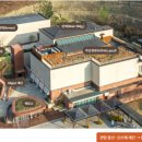 숲을향한시선 이미지