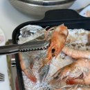 다솜바이오 이미지