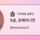 살랑더테일 이미지