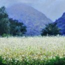 이모하여행사 이미지