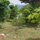 부적면사무소 이미지