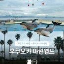 돌고래식당 - 영덕군 영덕대게로 2721-3 | 후쿠오카 마린월드 우미노나카미치 | 입장료, 식당, 돌고래쇼, 내부 수족관, 기념품샵 등 상세 후기