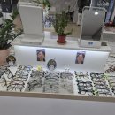 글라스밤 안경원 이미지