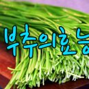 덕인주유소 이미지