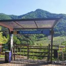 마운틴밸리관광펜션 이미지