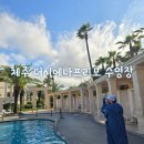 진라이브 - 창원시 마산합포구 불종거리로 27-1 | 하와이를 닮은 제주 더 시에나 프리모 수영장 야간 라이브 콘서트 관람 후기