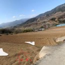 전망좋은곳 이미지