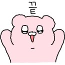 글램독가평 이미지