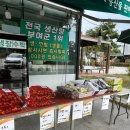 부여백제(서천) 이미지