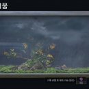 라그랑주 이미지