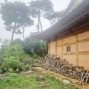 소나무황토펜션 | 전라도한옥펜션 구림전통한옥 – 단체모임에 딱! 따뜻한 황토구들방 한옥단체펜션 추천