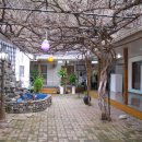 청송달기약수삼계탕 이미지