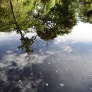 영문농장 이미지