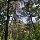 잣절공원 - 2341 | 잣절공원