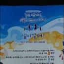 베스타헤어코디