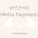 하얀코끼리 이미지
