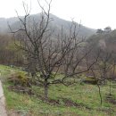 유전2리 이미지