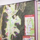 수지분당공인중개사사무소 이미지