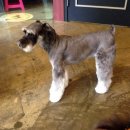 젠동물병원 이미지