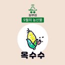 농부심 이미지