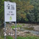 한근농장 | [리뷰] 광릉캠핑장 숲266 서울근교바베큐 후기