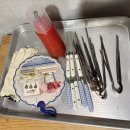 가덕 코이 이미지