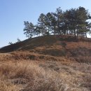 남해-181 이미지