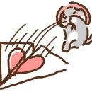 바로펫살롱 이미지