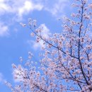 삼흥주유소 - 천안시 동남구 충절로 395 | 삼흥주유소