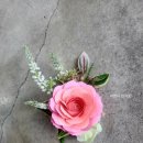 원주 중앙동 행정복지센터 이미지