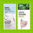 도도킹코리아 이미지