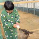 혜진농장 | 경기 포천 동물 체험농장 새로 오픈 아이와 가볼만한 곳 우리농장