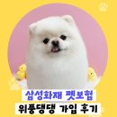 위풍댕댕 | 펫보험 비교해보고 삼성화재 위풍댕댕으로 선택한 이유