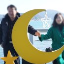 메르베르스파애견펜션 이미지