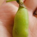 부평십정동점 이미지